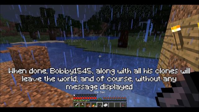 The Story Of Bobby1545 - Minecraft