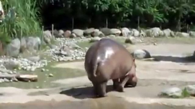 Le plus gros "prout" du monde ;) смотреть онлайн