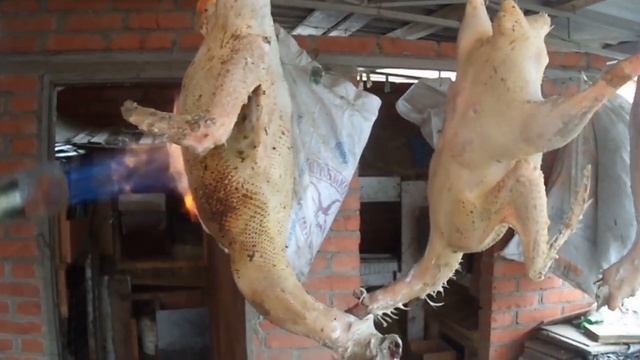 Весенний забой гусей линда