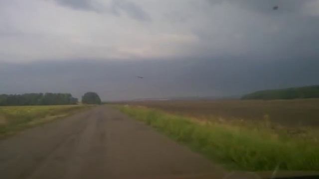 Орел или ястреб смотреть онлайн