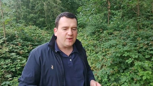 HUAWEI Band 8 Comprehensive Review - Better Than The Competition? смотреть онлайн