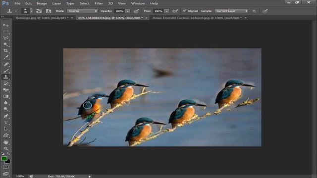 Clone stamp tool And pattern clone stamp too in Adobel photoshop bangla tutorial смотреть онлайн