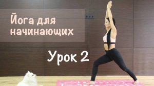 Йога для начинающих.  Урок 2. Растяжка.