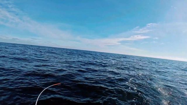 Троллинг балтийского лосося в 6-мильной зоне . Апрель 2022. смотреть онлайн