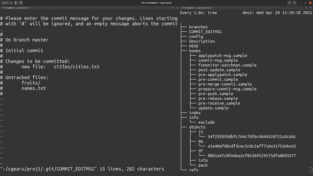 Git Essentials - My First Commit смотреть онлайн
