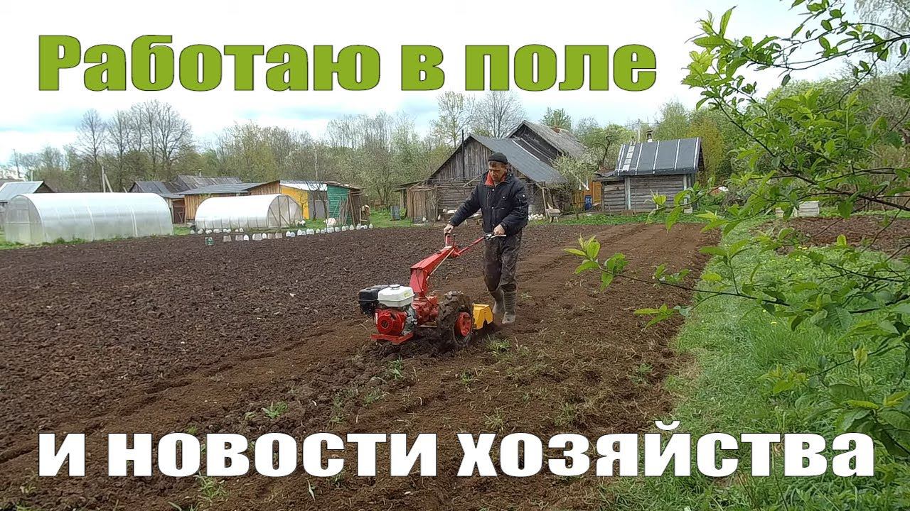 "Удаленно" работаю в поле, индюшата, бройлеры и куры, фрезерую мотоблоком мтз Беларус смотреть онлайн