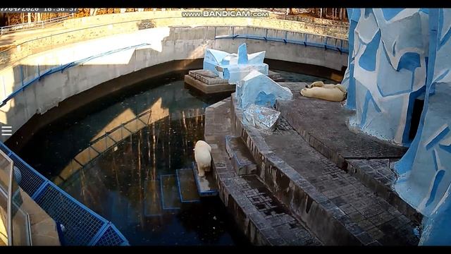 Мама, посмотри какой у меня рост! 17.04.2020 смотреть онлайн