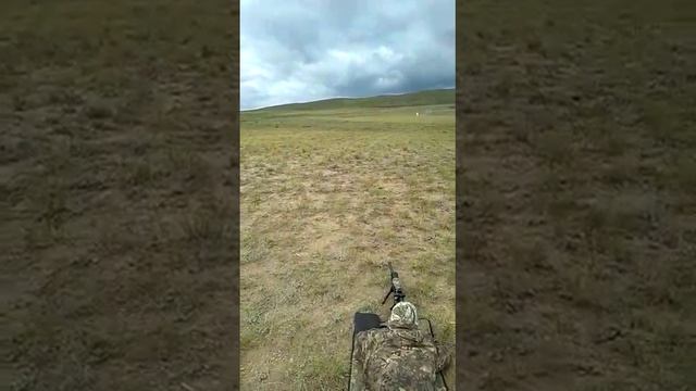 CZ 557, 308win., Nightforce NXS 5.5-22×50, MLR. смотреть онлайн