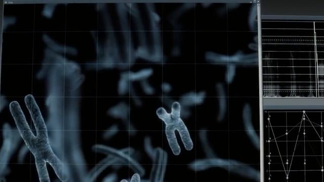 Эти Аномальные Гибриды Животных Побили Все Рекорды смотреть онлайн