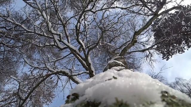 Аполлония Делос - Придёт весна... смотреть онлайн