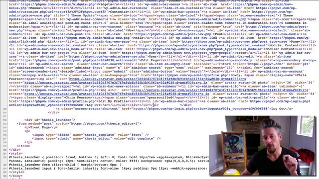 Footer Scripts in the Focus WordPress Theme смотреть онлайн