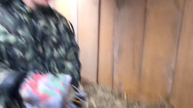 КУРЫ ЖИВУТ ПОД ЗЕМЛЕЙ И НЕСУТСЯ КАК ИЗ ПУЛЕМЕТА! ПОЧЕМУ? ПЕЧЬ ГОРИТ ДЕСЯТЬ ЧАСОВ НА ОДНОЙ ЗАКЛАДКЕ! смотреть онлайн