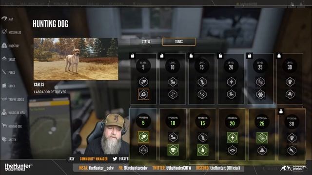 theHunter Call of the Wild - СТОИТ ЛИ ЖДАТЬ? - Новая порода - Лабрадор смотреть онлайн