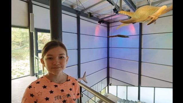 Музей первісного світу. Вихідні весело проводимо разом з дітками.  Німеччина2023.