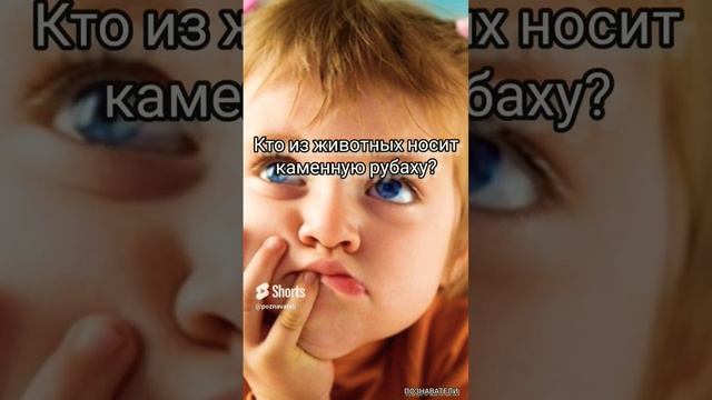 Кто из животных носит каменную рубаху? #логика #загадка #задача #егэ #школа #logic #загадки #тест смотреть онлайн