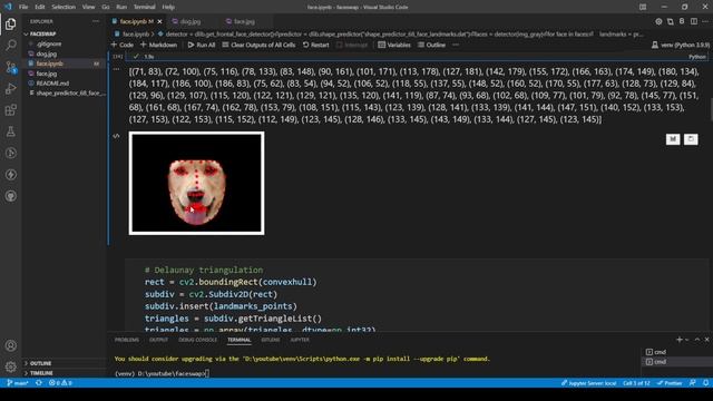 Face swap opencv смотреть онлайн