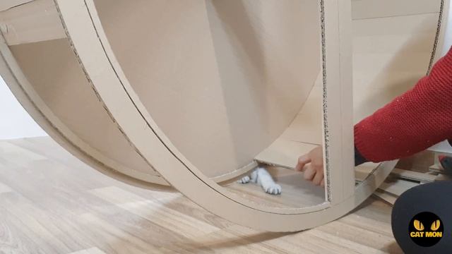 DIY 박스 캣휠 (DIY Cat wheel) | How to make a Cat wheel смотреть онлайн