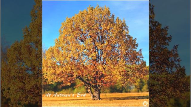 At Autumn's End смотреть онлайн