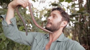 К чему снятся ЧЕРВИ или видеть ЧЕРВЯКОВ во сне ★ Толкование Снов ★ СОННИК 3.0™