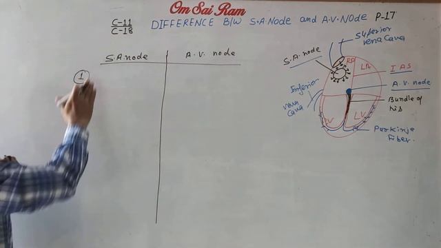 Chapter-18 Class-11 biology ( P-17) comparative study of S A node and AV node смотреть онлайн