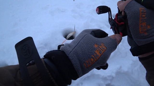 Судачье эльдорадо.Где то на просторах ОВХ. Январь 2023 г. смотреть онлайн