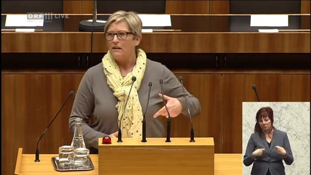 NAbg. Ursula Haubner - Sozialrechts-Änderungsgesetz-Bildungsteilzeit 21.3.2013 смотреть онлайн