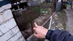 Хочу урожай клубники! Хорус. Бурая и белая пятнистости. Применение