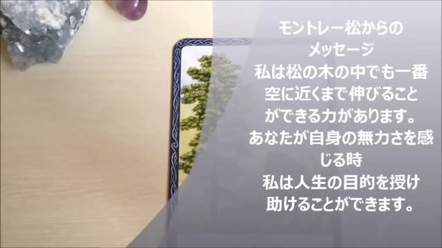 ｃｅｌｅｓｔｅ’ｓ　ｗｅｅｋｌｙ　ｏｒａｃｌｅ ９／１４～９／２０ смотреть онлайн