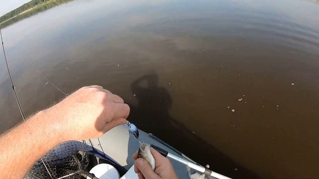 Рыбалка на Вятке на спиннинг в конце июля. смотреть онлайн