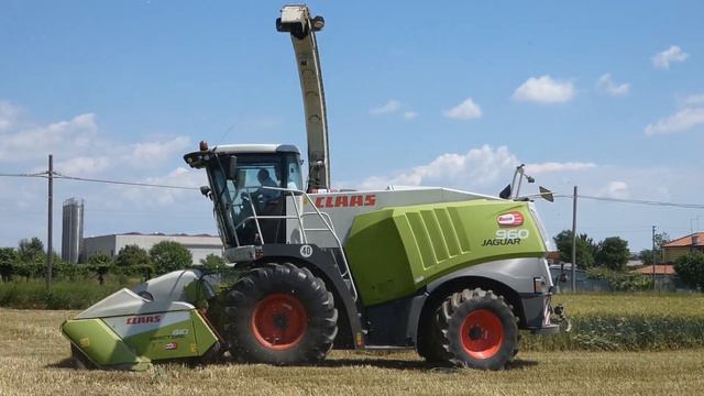 CLAAS Jaguar 960 | FENDT Tractors |Trinciatura Triticale | MATTARA x CAZZARO смотреть онлайн