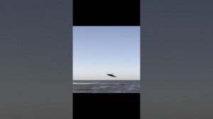 самый толстый на кайте