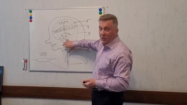 Тонус мышц смотреть онлайн