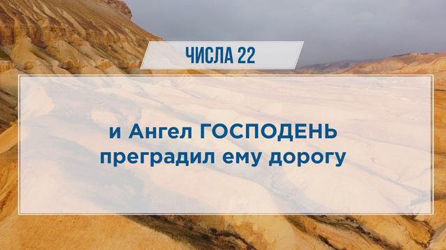 ЧИСЛА глава 22 | Чтение Библии | Библия в современном переводе смотреть онлайн