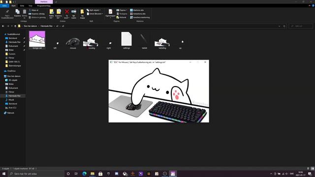 How To Get A Bongo Cat Web Cam смотреть онлайн