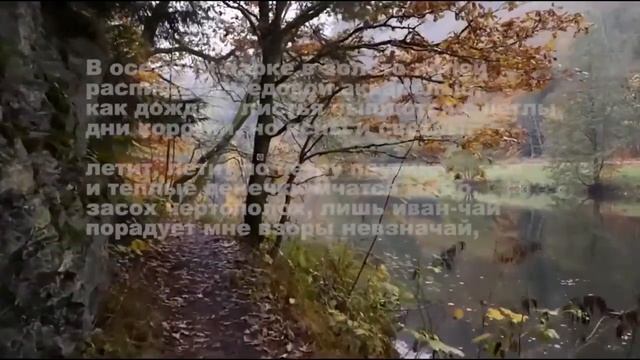 Зоя Сергеева. Осенние стихи