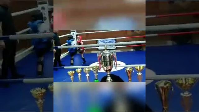ск Империя Новосибирск открытый ринг тайский бокс/мма /Варданян Гурген смотреть онлайн