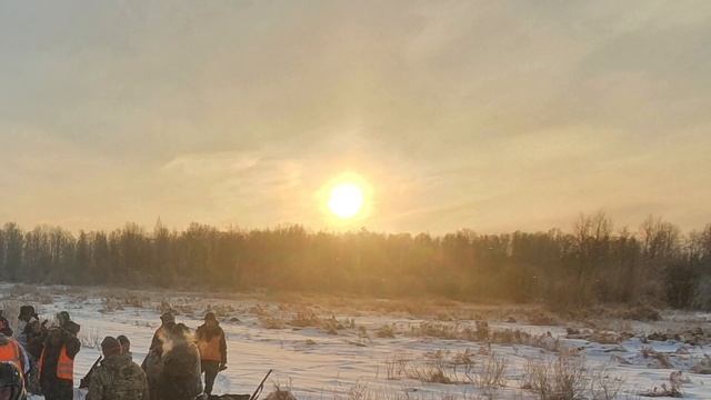 Охота на волков (10.01.2021) смотреть онлайн