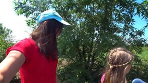 ВЛОГ В ДЕРЕВНЕ У БАБУШКИ ЖИЗНЬ В СЕЛЕ / КАНИКУЛЫ