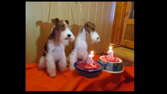 Девочка 3 года. We are 3 years old. смотреть онлайн