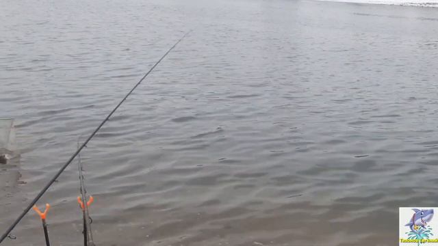 Нижняя Москва-река. ловля леща в январе смотреть онлайн