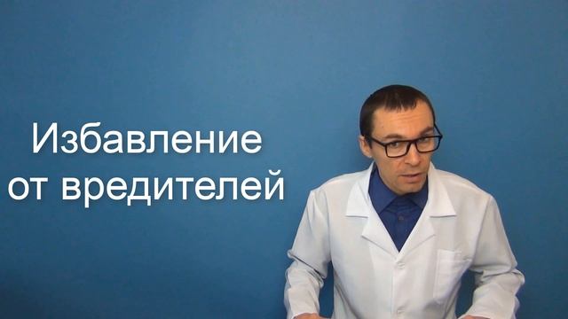 Использование МЁДА в медицине и хозяйстве смотреть онлайн