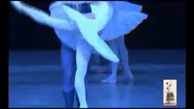 Swan Lake Svetlana Svinko Roman Polkovnikov