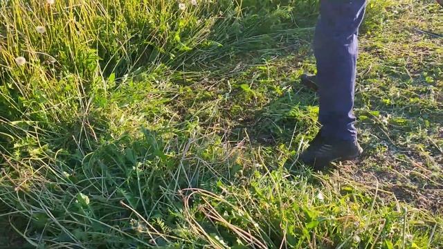 Косьба ручной косой на закате. (1/3). Scything. смотреть онлайн
