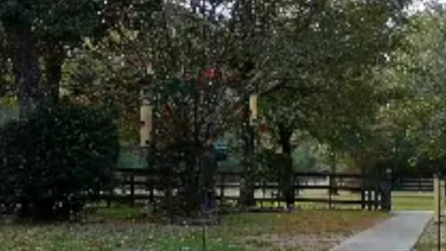 Memory Moods (Chase Bliss Habit) смотреть онлайн