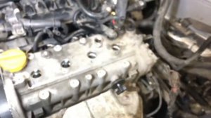 Замена ремня ГРМ Fiat Doblo 1.4 16V 843A1000 timing belt