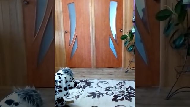 сказка про Ивана царевича и серого волка