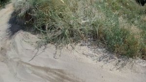 Самоблок на ЛАДУ! Зачем он нужен?