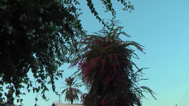 AiRad тот самый с Youtube