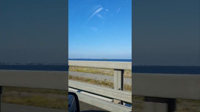 Прогулка. Петергоф, форты, Кронштадт, Лахта-центр, Яхтенный мост. смотреть онлайн