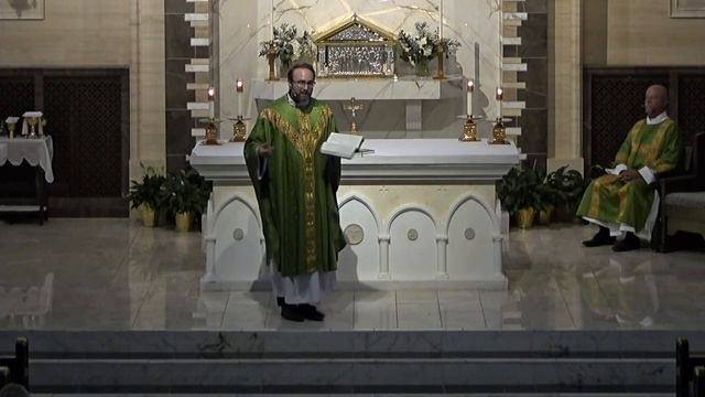 Boundaries | 14th Sunday of Ord. Time | 07.09.2023 | Fr. Brian Larkin смотреть онлайн